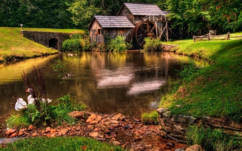 The most beautiful houses in the forest