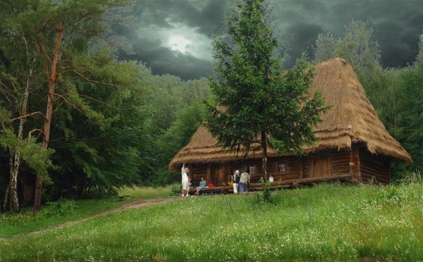 The most beautiful houses in the forest