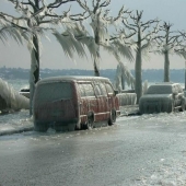 The most beautiful photos of a frosty winter