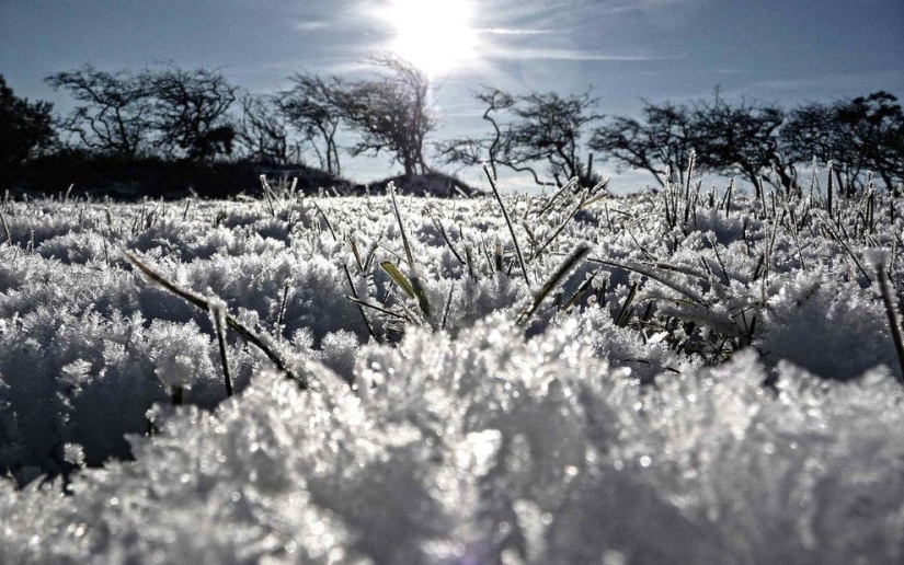 The most beautiful photos of a frosty winter