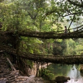 The most beautiful footbridges in the world