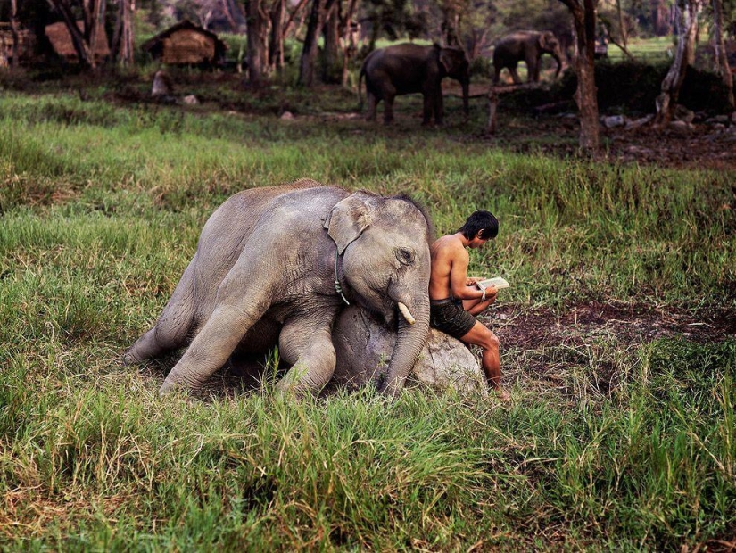 The most beautiful photographs of Steve McCurry from around the world
