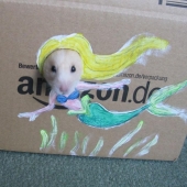 The most fashionable hamster in the world