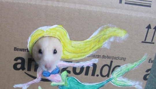 The most fashionable hamster in the world
