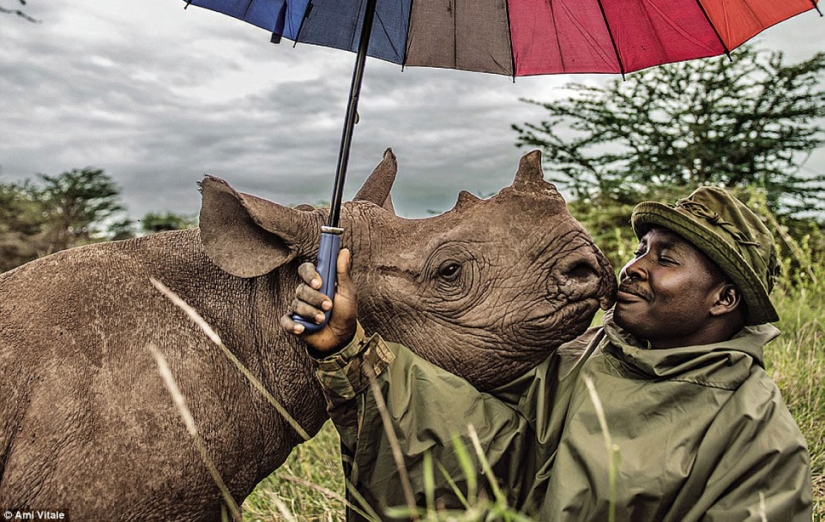 The most popular pictures from Instagram National Geographic