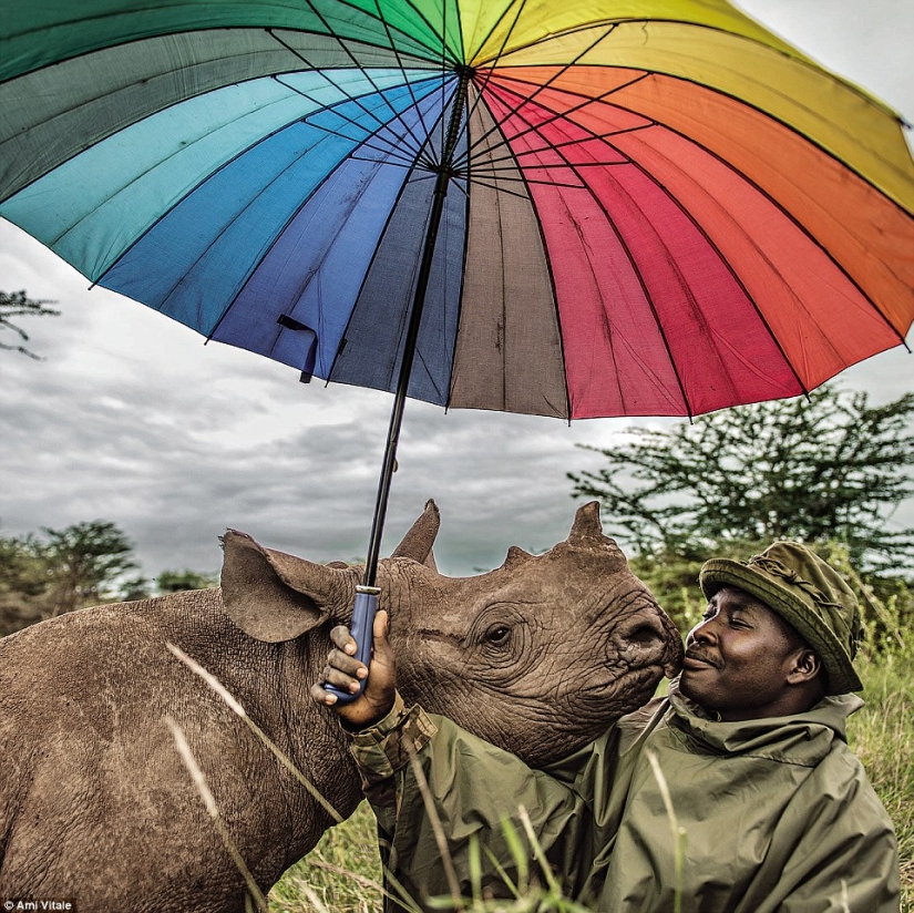 The most popular pictures from Instagram National Geographic
