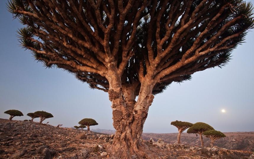 The most surreal landscapes of our planet