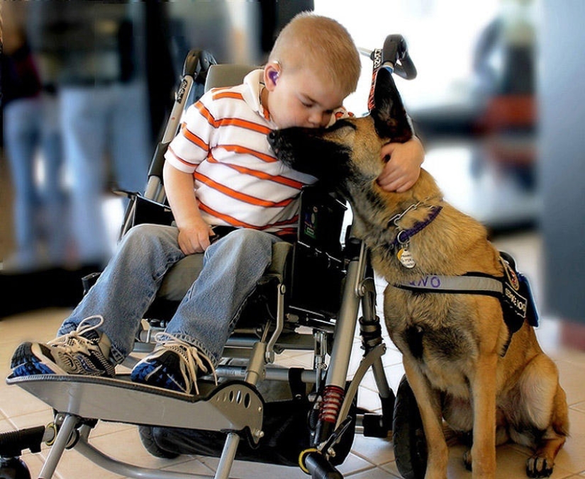 The most touching photos