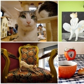 The most unusual &quot;cat&quot; cafes from around the world