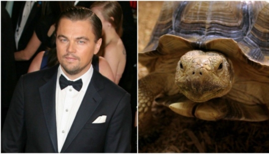 The most unusual celebrity pets