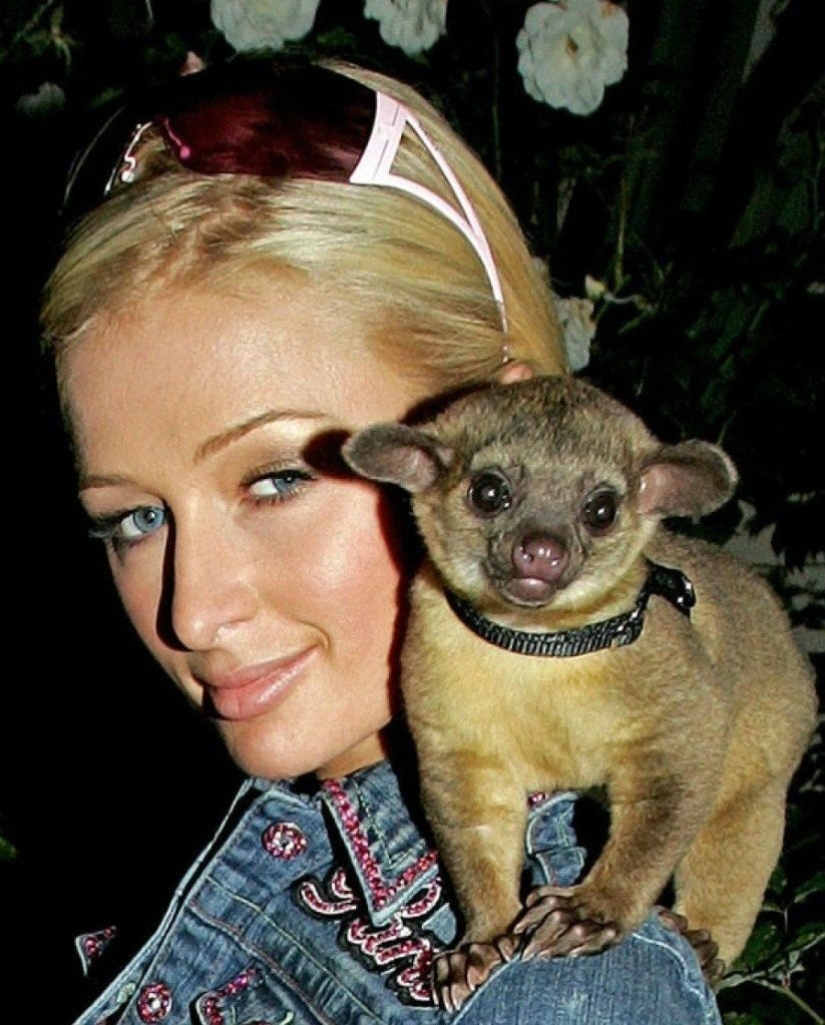 The most unusual celebrity pets