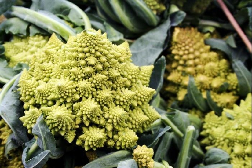 The most unusual fruits and vegetables on the shelves