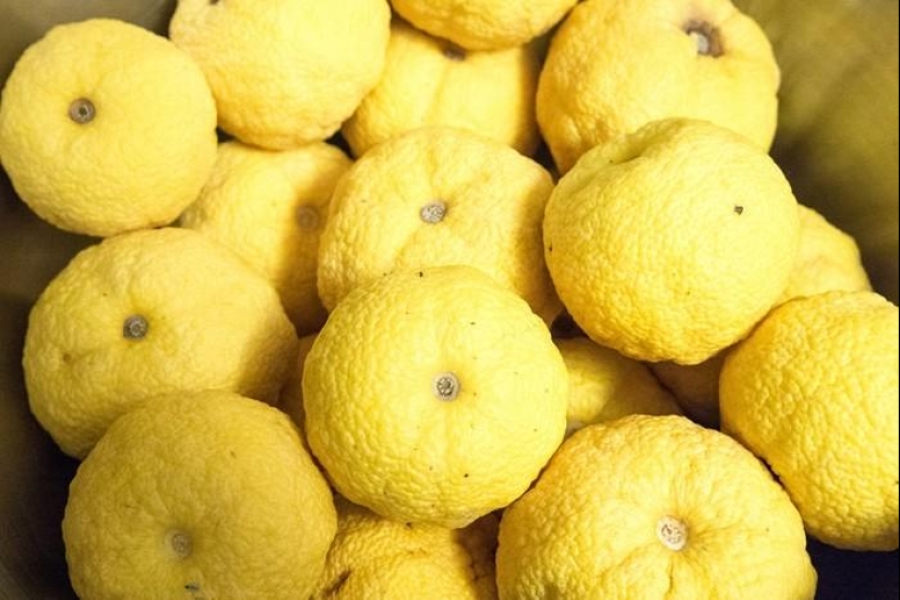 The most unusual fruits and vegetables on the shelves