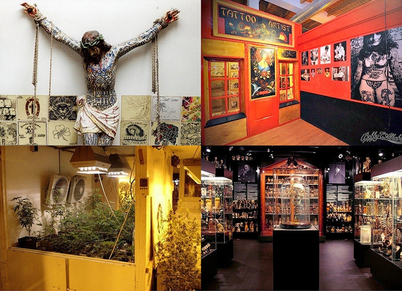 The most unusual museums in Amsterdam