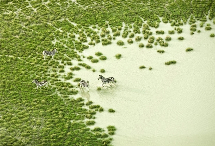 The pristine beauty of Africa in amazing aerial photos