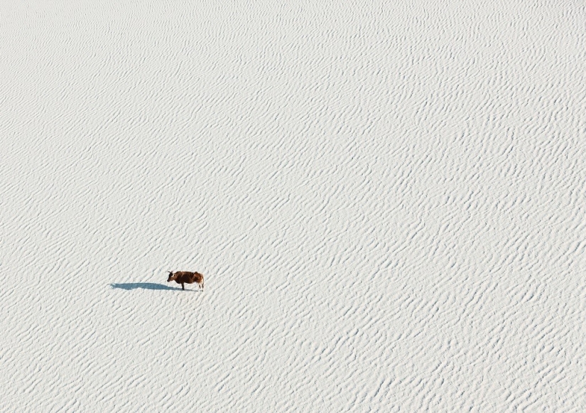The pristine beauty of Africa in amazing aerial photos