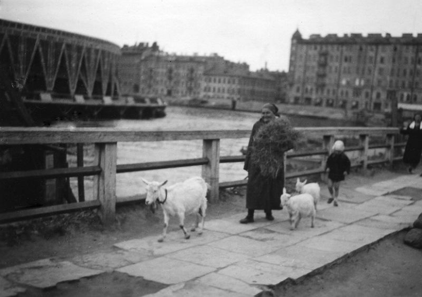 The Soviet Union in 1935 through the lens of a Norwegian photographer