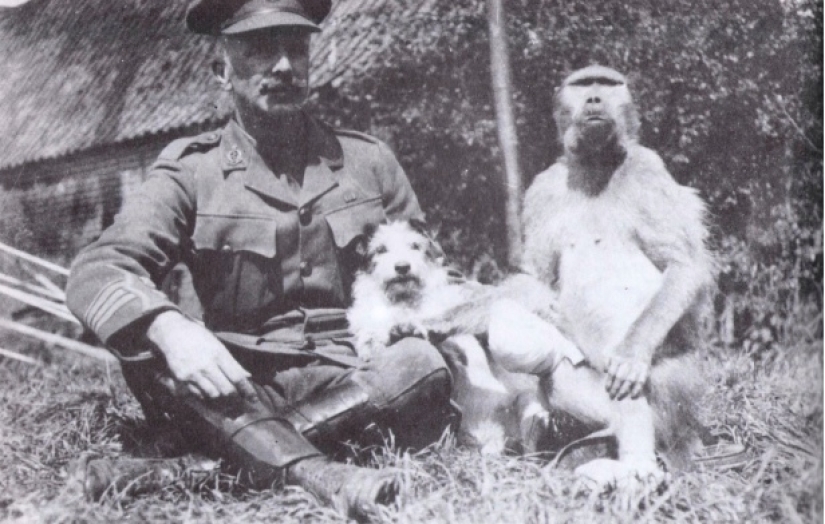 The story of Corporal Jackie — the most unusual hero of the First World War