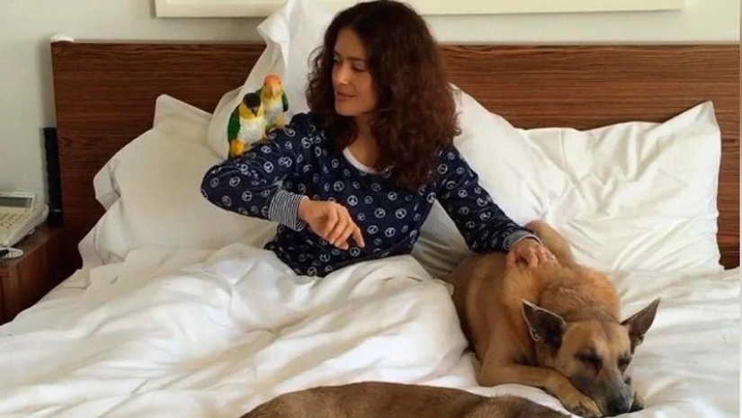 The story of Salma Hayek - an actress who saves animals