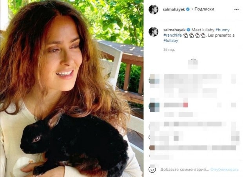 The story of Salma Hayek - an actress who saves animals
