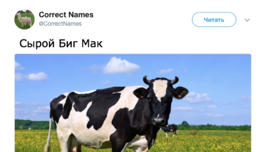 The Twitter account gave the "right" names to familiar things