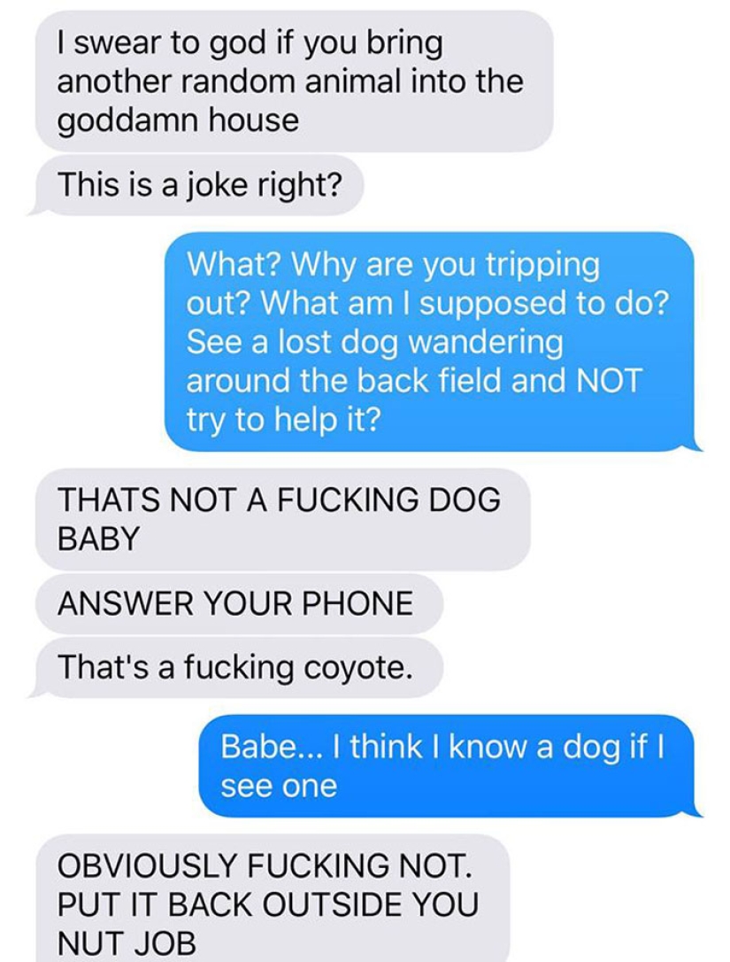 The wife dragged the coyote home and asked her husband if it was possible to leave him