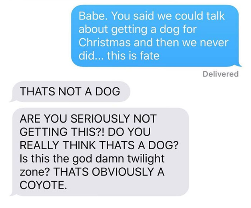 The wife dragged the coyote home and asked her husband if it was possible to leave him