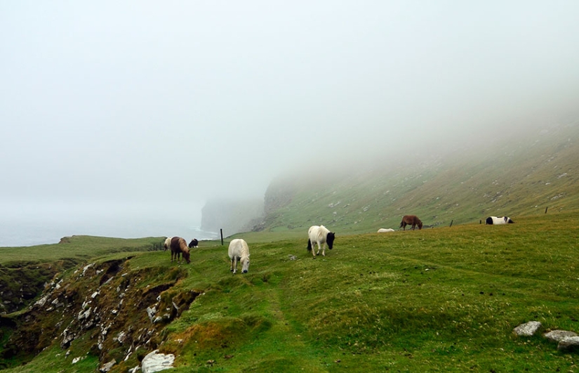 There are more ponies on this fabulous island than people