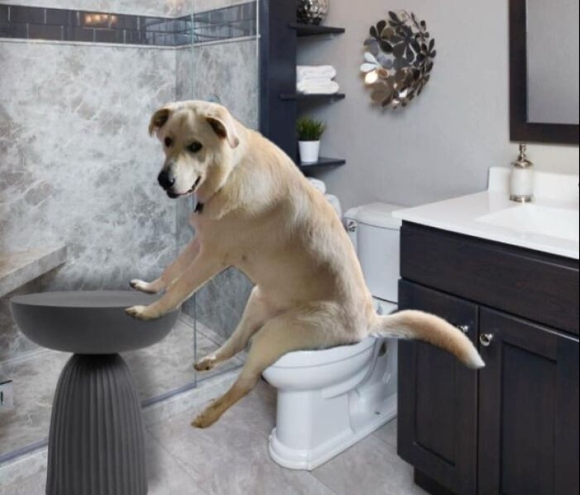These Are 10 Pictures People Made While Amusing Themselves By Photoshopping This Goofy Dog