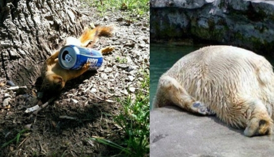 These poor animals look like they have a severe hangover