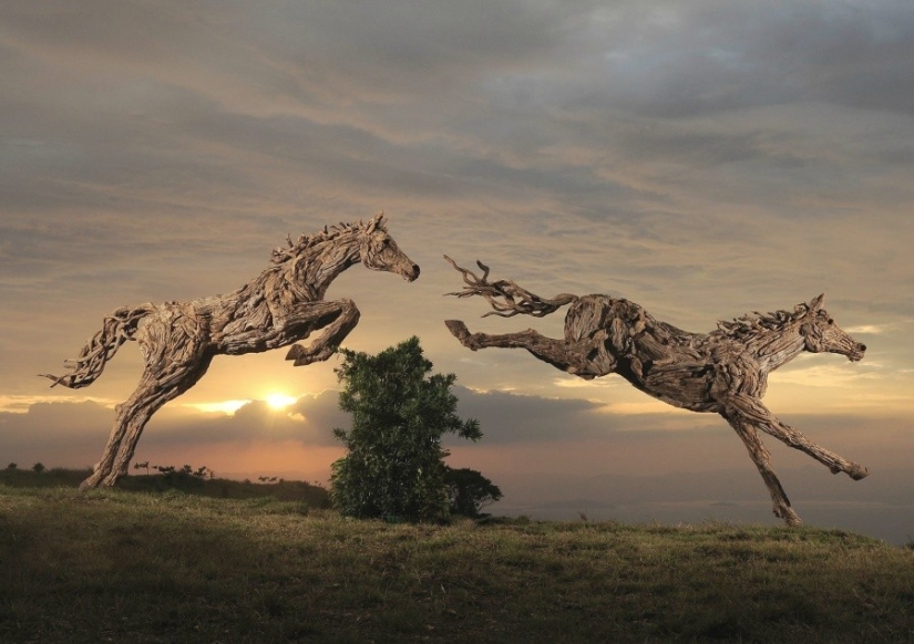 These sculptures seem to be alive… You will never believe what they are made of