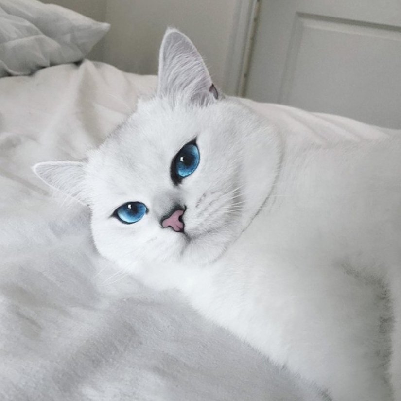 This cat has the most beautiful eyes in the world