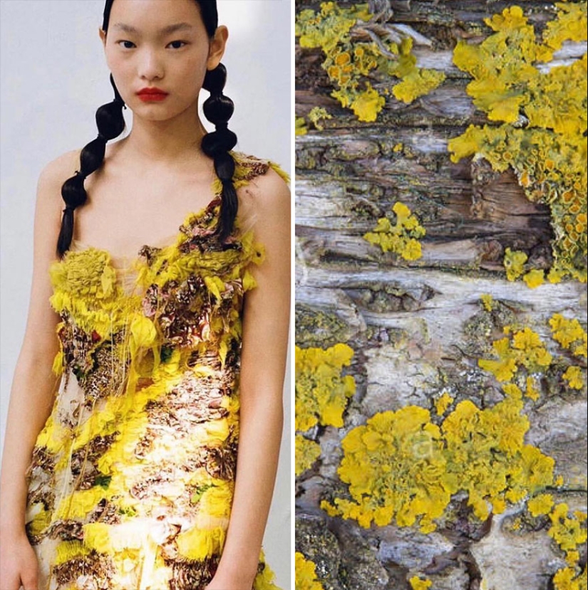 This Instagram Account Shows The Parallels Between Fashion And Nature