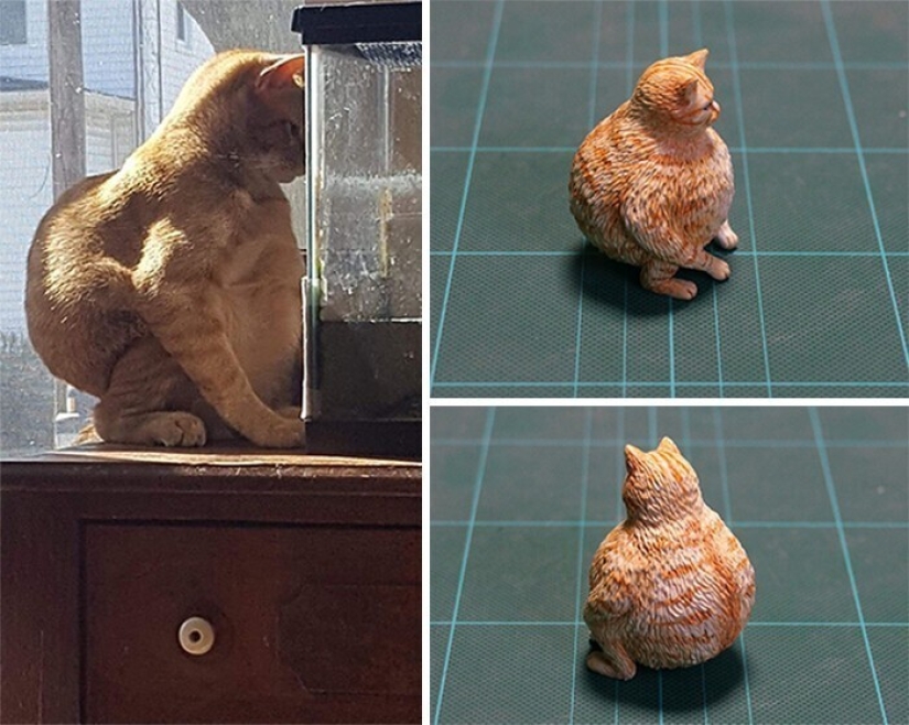 This is a must see: 50 amusing animal figures based on Internet memes