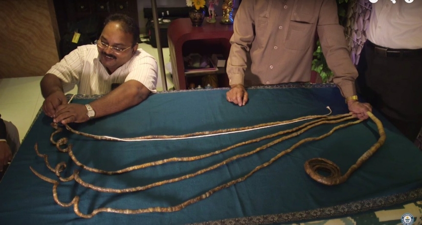 This man hasn&#39;t cut his nails in 62 years and just broke a world record