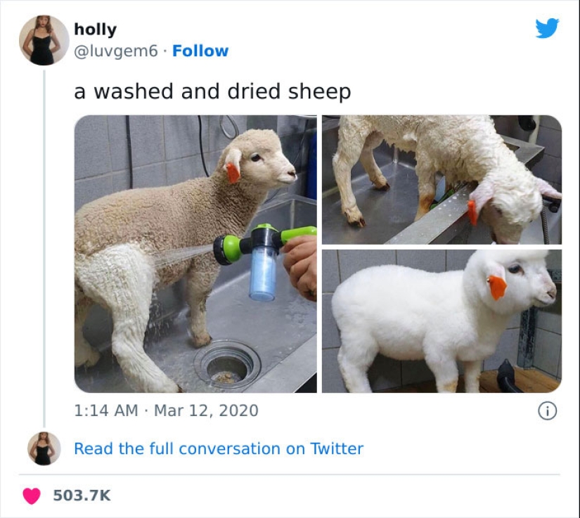 This Online Group Is Dedicated To Things That Are Inexplicably Satisfying, Here Are 24 Of The Best Ones