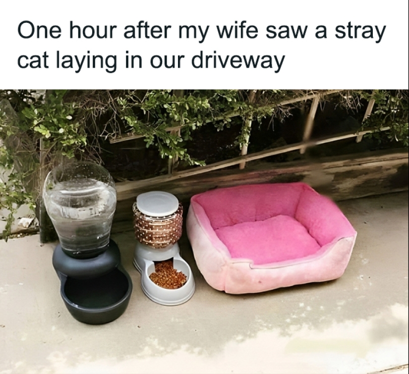 This Page Shares The Most Random And Entertaining Pics, And Here’s 10 Of The Best