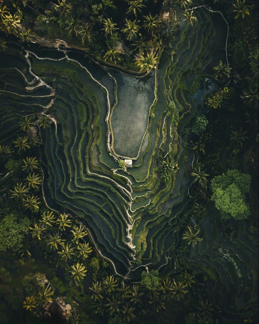 This Photographer Takes Breathtaking Drone Pictures Of Vietnam (Part2)