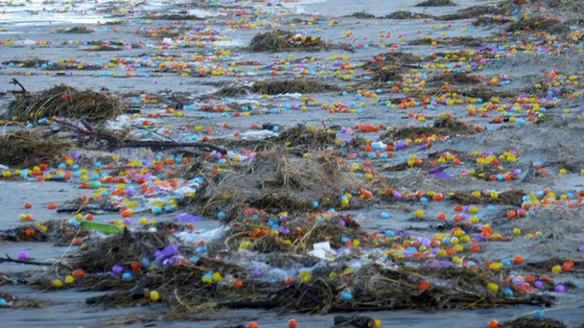 Thousands of "kinder surprises" were blown out by a storm on the coast of the German island