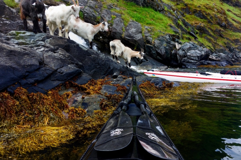 Through Norway by kayak