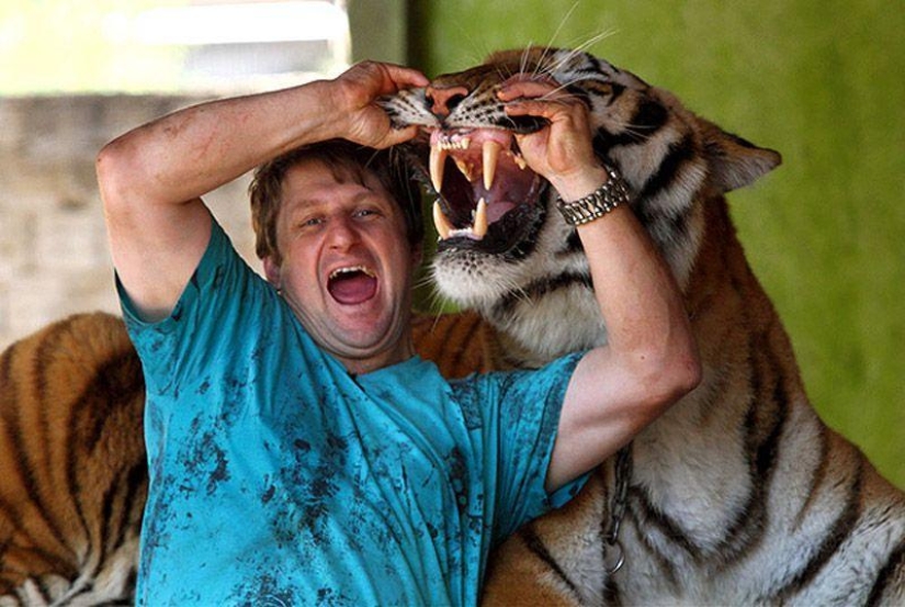 Tiger instead of a pet: 7 predators live in a Brazilian family