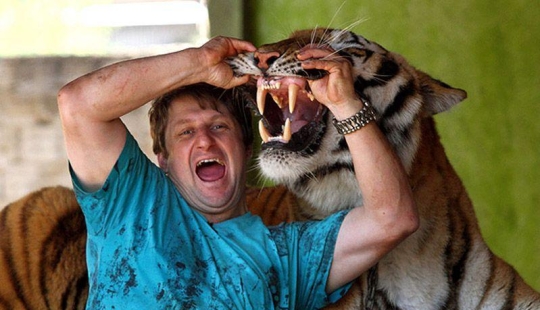 Tigre en lugar de mascota: 7 depredadores viven en una familia brasileña