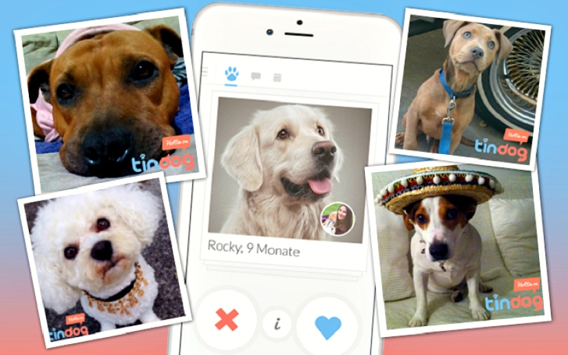 Tinder lanza aplicación de citas para perros