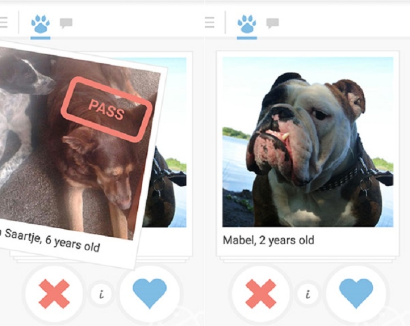 Tinder lanza aplicación de citas para perros