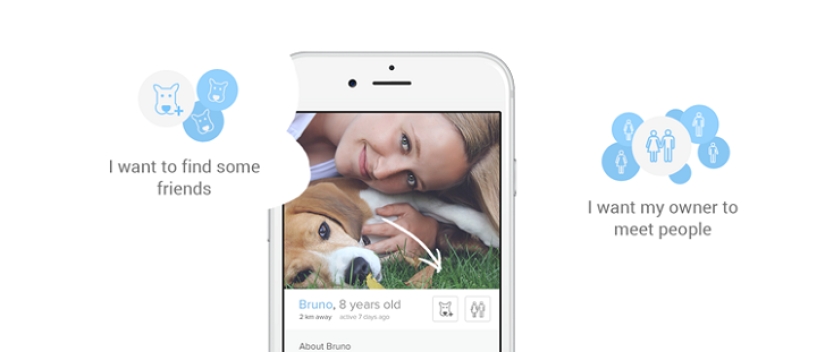 Tinder lanza aplicación de citas para perros