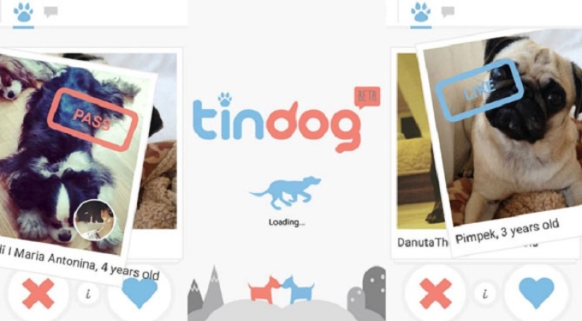 Tinder launches dog dating app