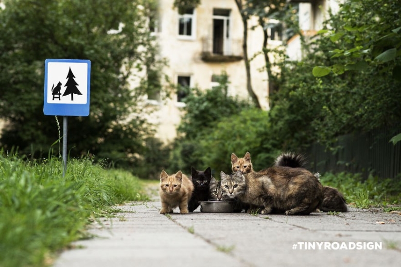 Tiny road signs for tiny Vilnius residents