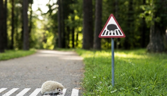 Tiny road signs for tiny Vilnius residents