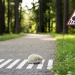 Tiny road signs for tiny Vilnius residents