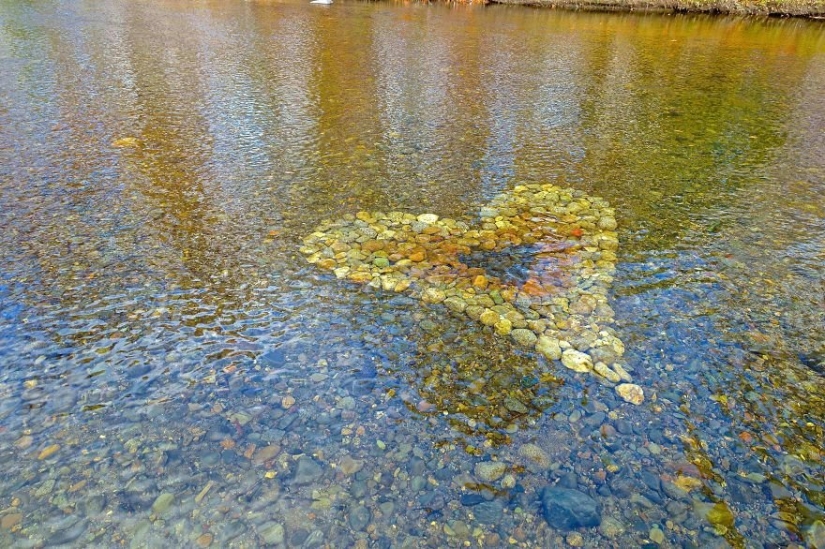 Todo el amor y la felicidad: la Increíble instalación por David Allen